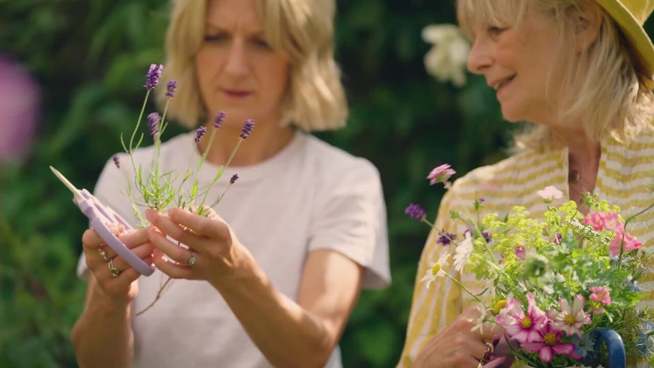 Meet Melissa and Amy