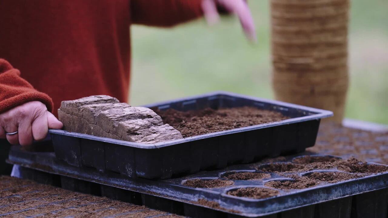 Seeds - Part 1: Sowing seeds