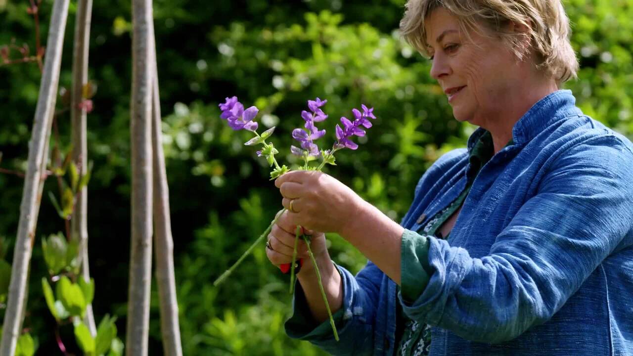 A guide to picking your flowers
