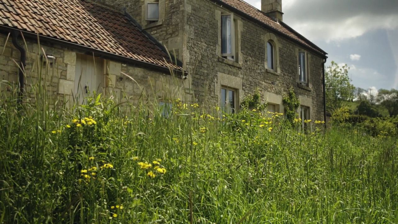 Hillside: meadows, hedgerows and orchards