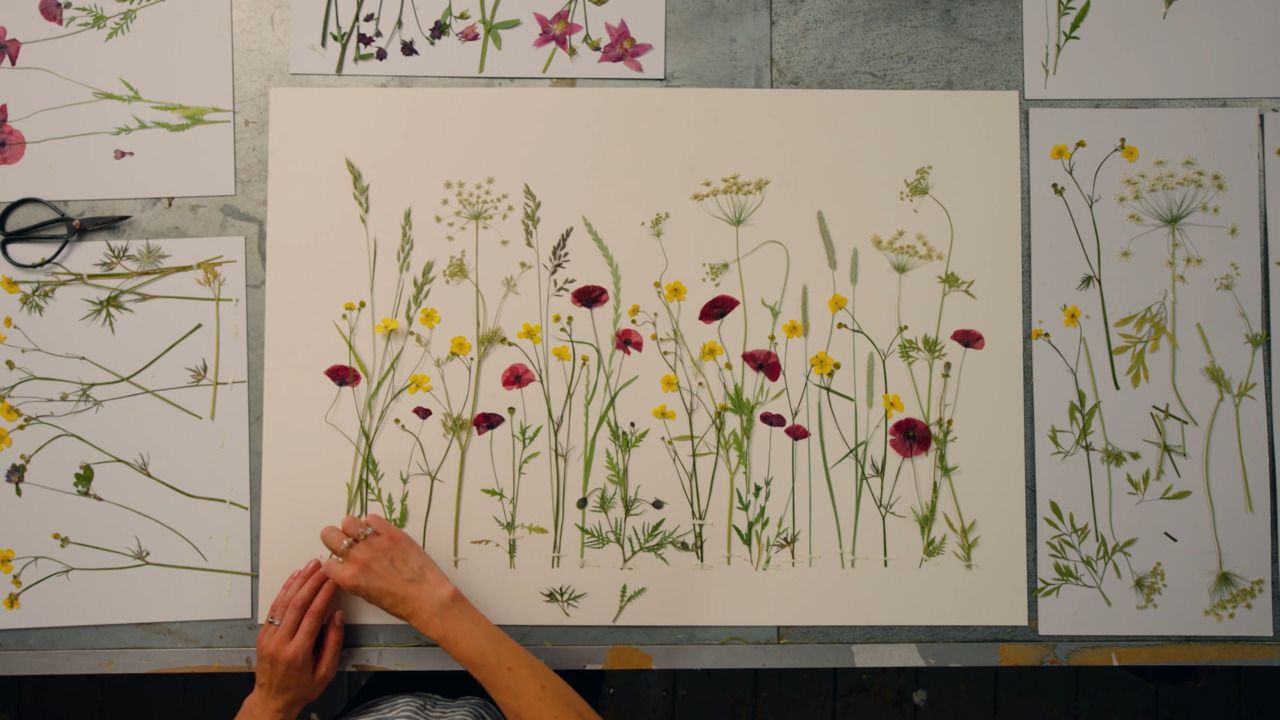 Create a complex artwork - Part 2: Layering your pressed flower meadow
