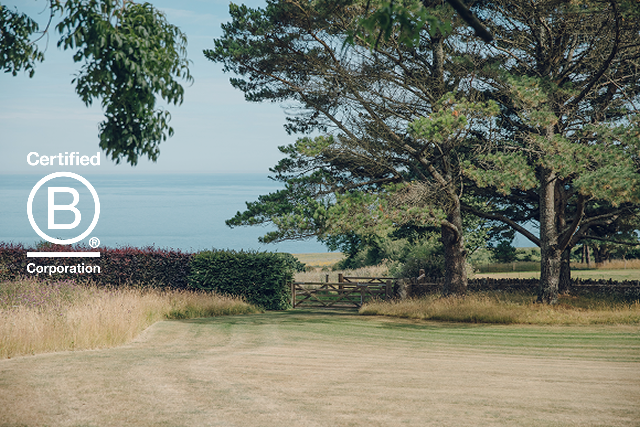 An image of a backyard overlooking the ocean. There is a large grass field, a gate at the centre, and pine trees to the right. On the left is the B Corp logo