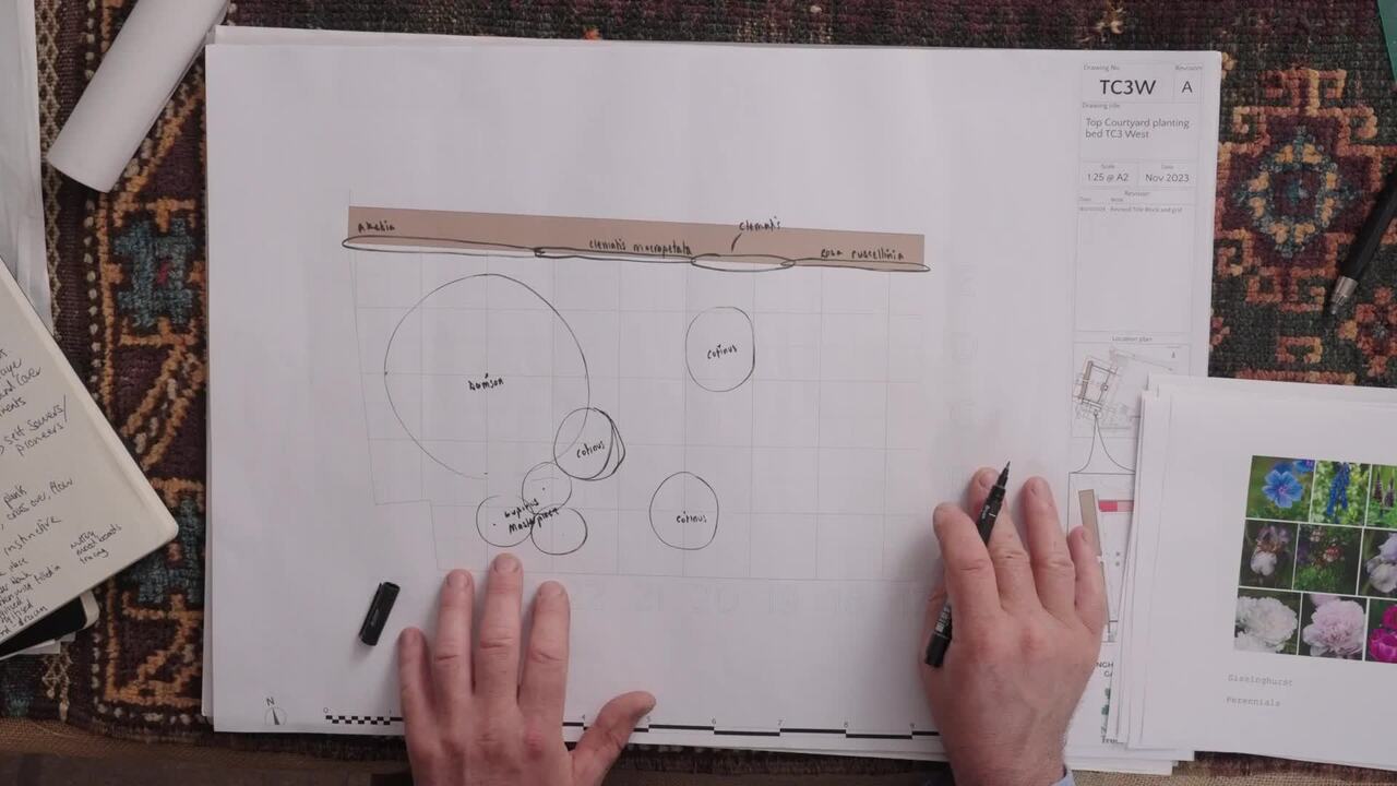 Creating a planting plan from scratch part 3: Adding the perennial layer
