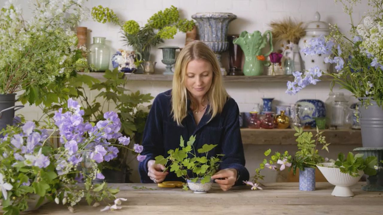 Working with frogs - a small arrangement