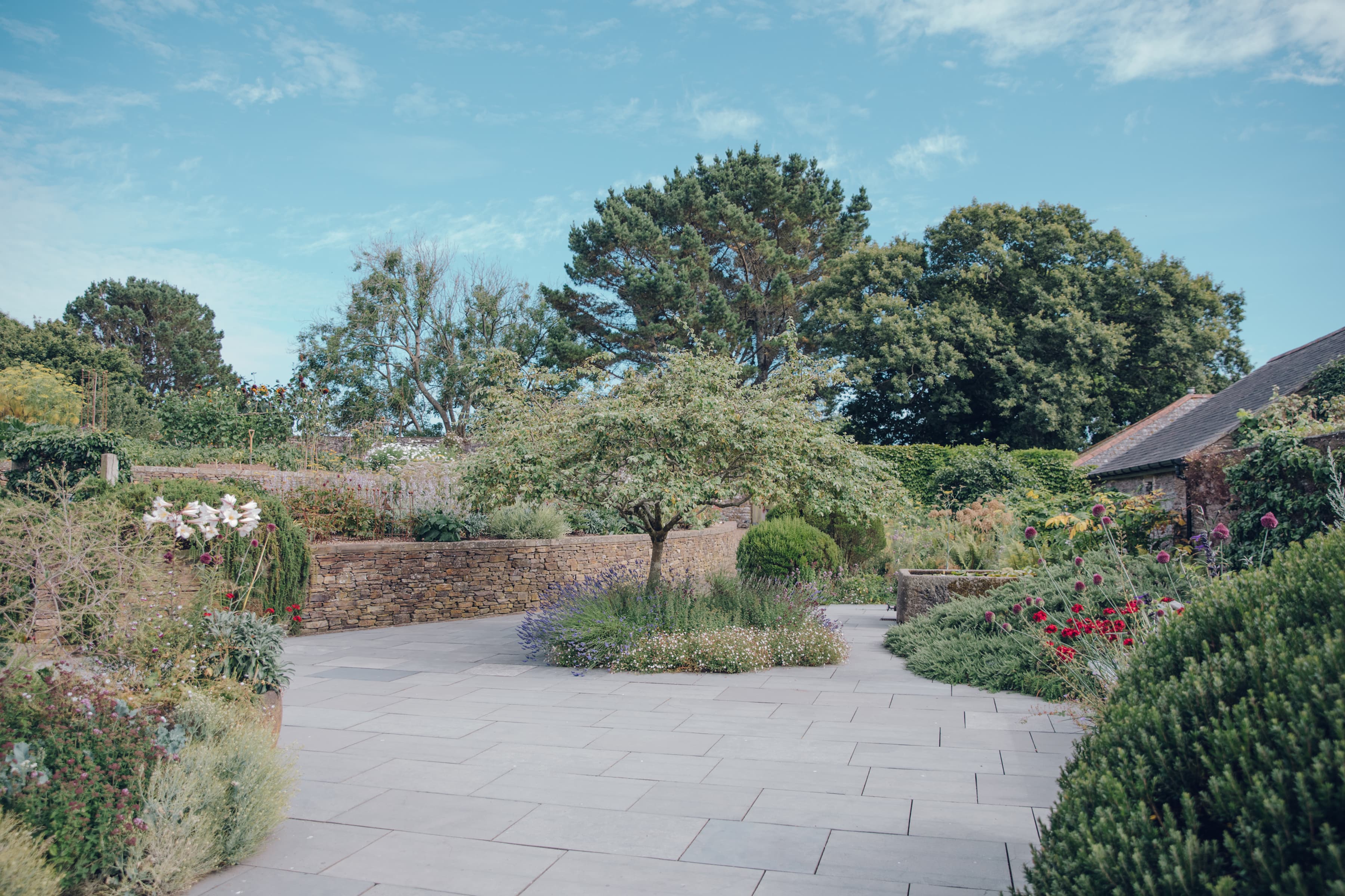 Landscape Design 
