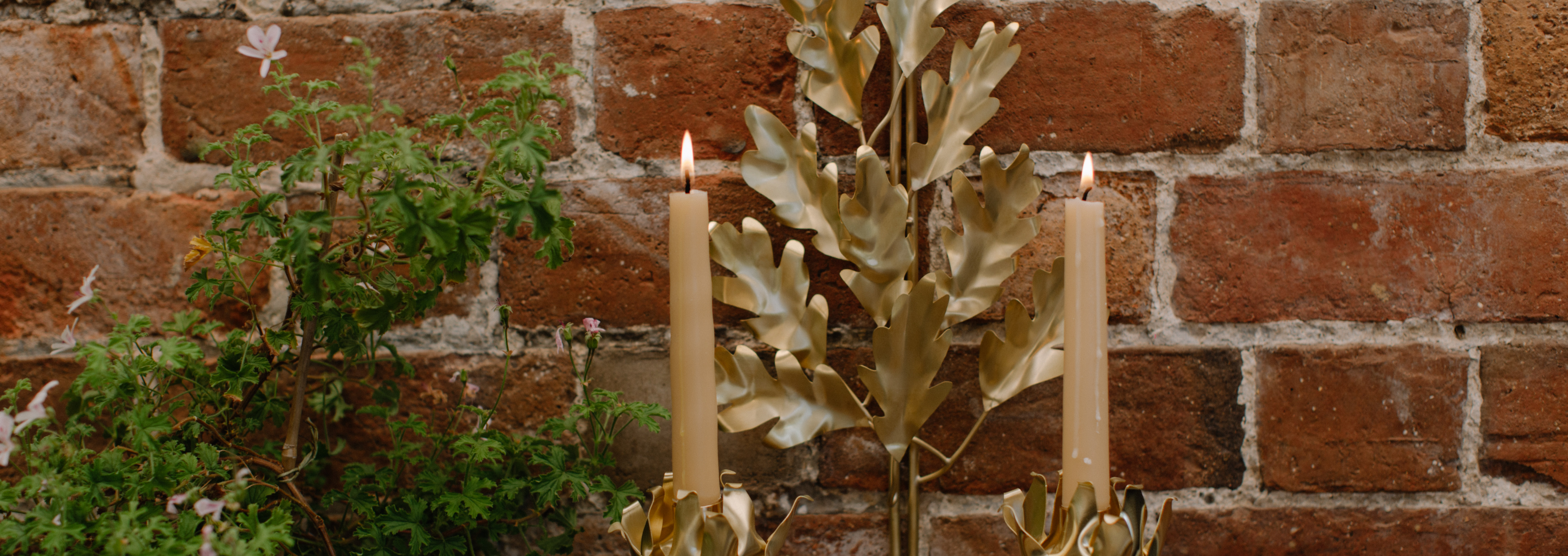 15% Off Creative Courses