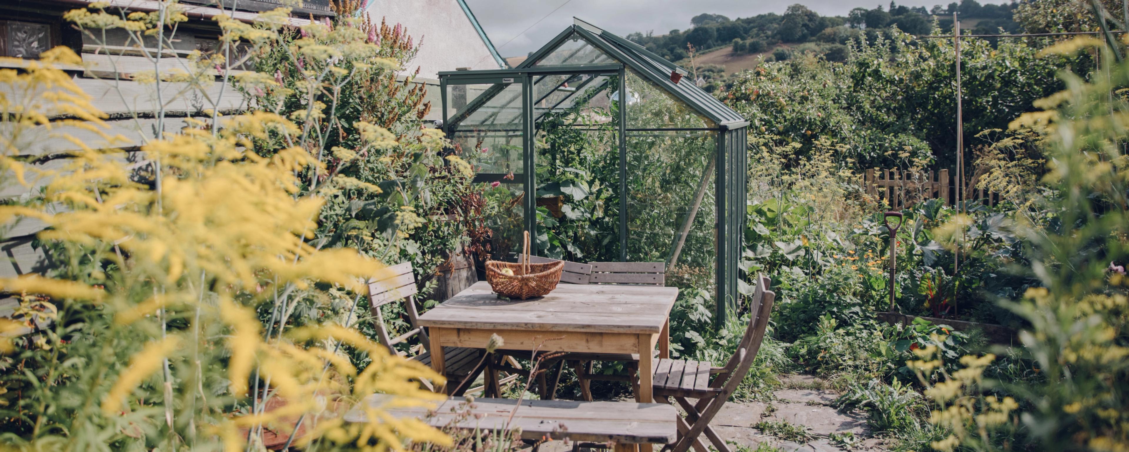 Discover an abundance of garden tasks to keep you busy during the summer sunshine this July.