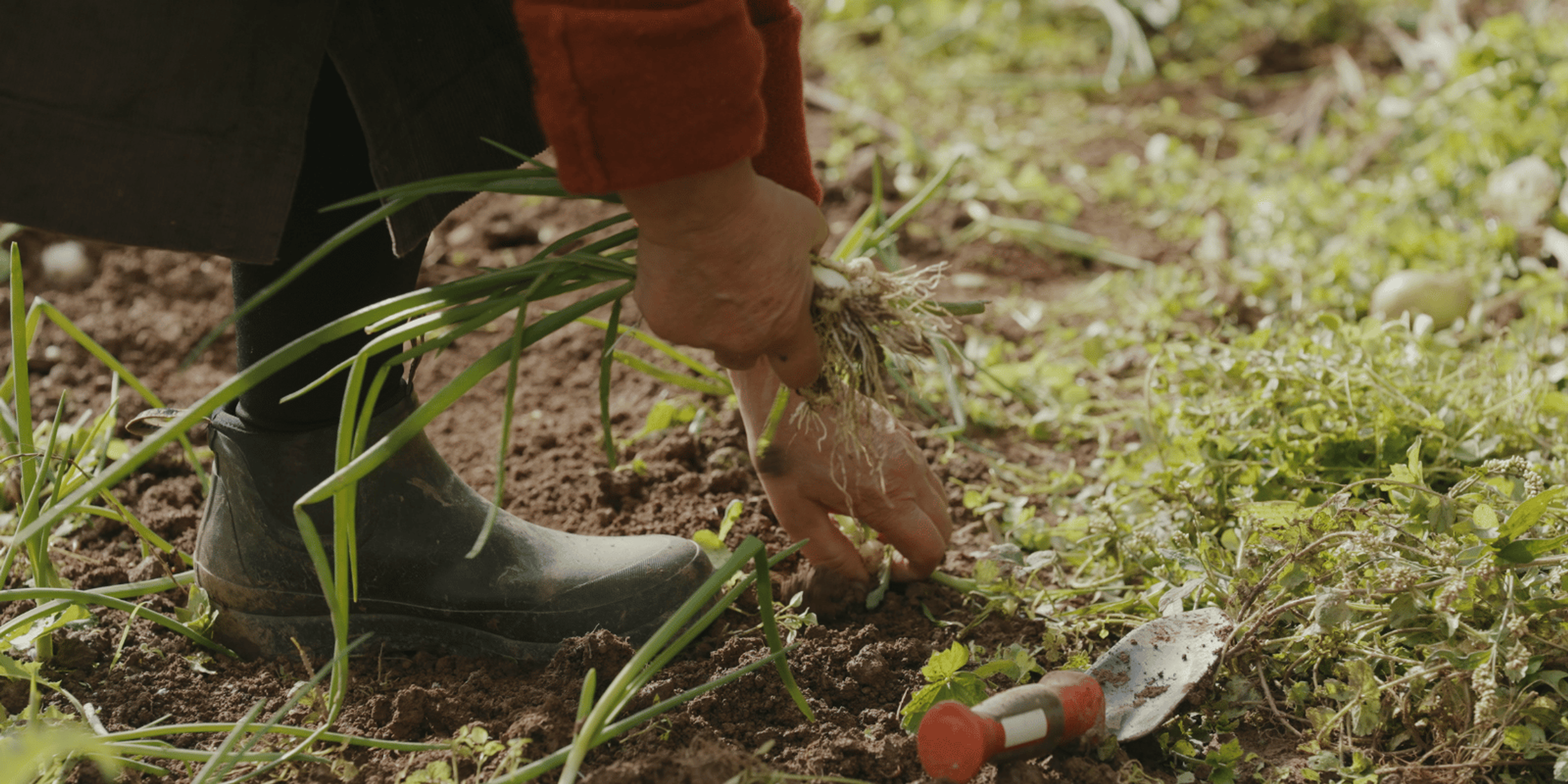 Biodynamic Farming