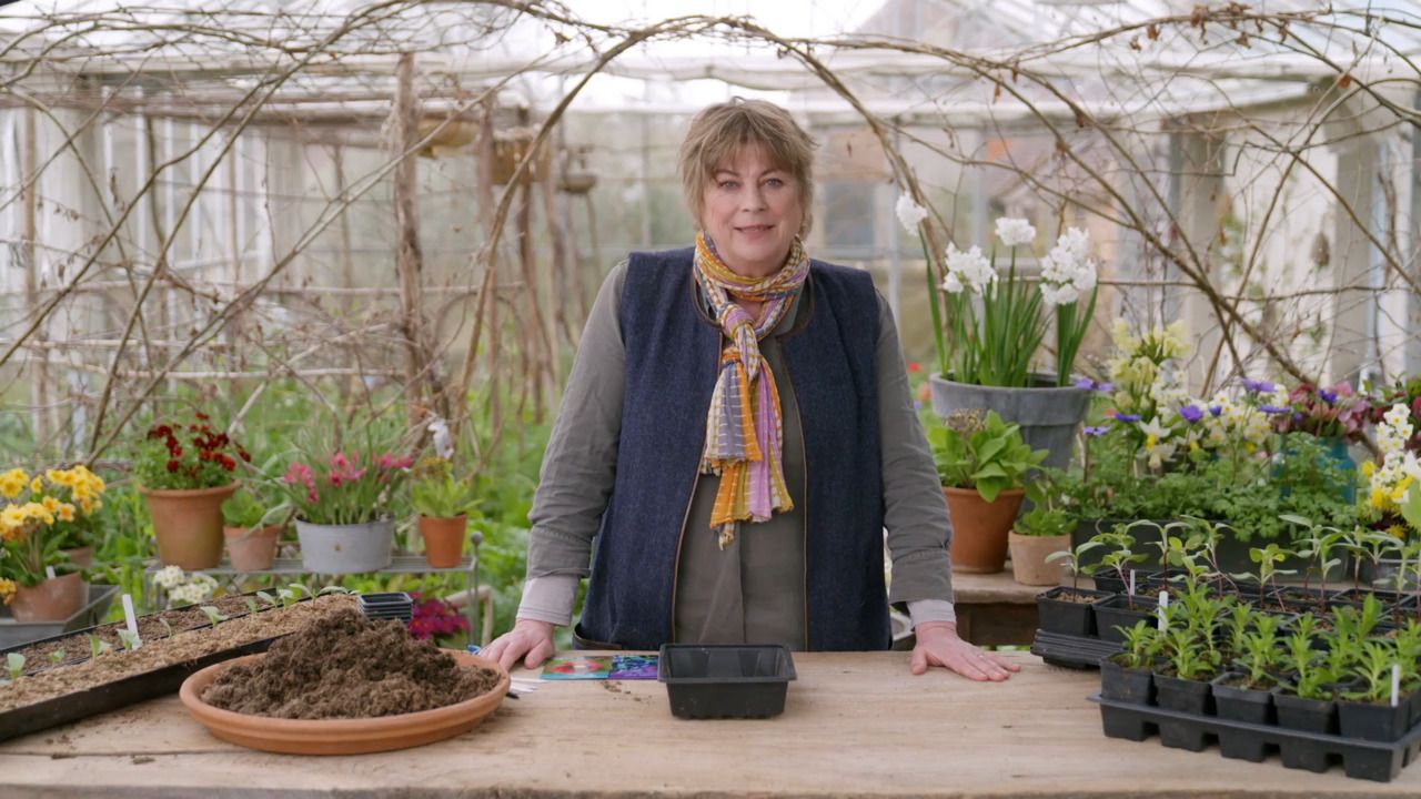 Sarah’s favourite ways to sow seeds