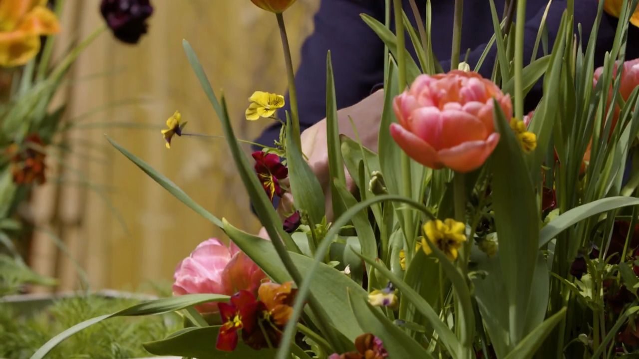 Cutting from the garden - part 3