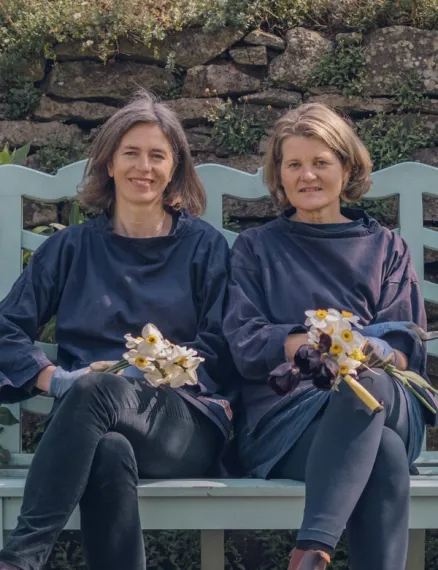 How to Heal Your Soil