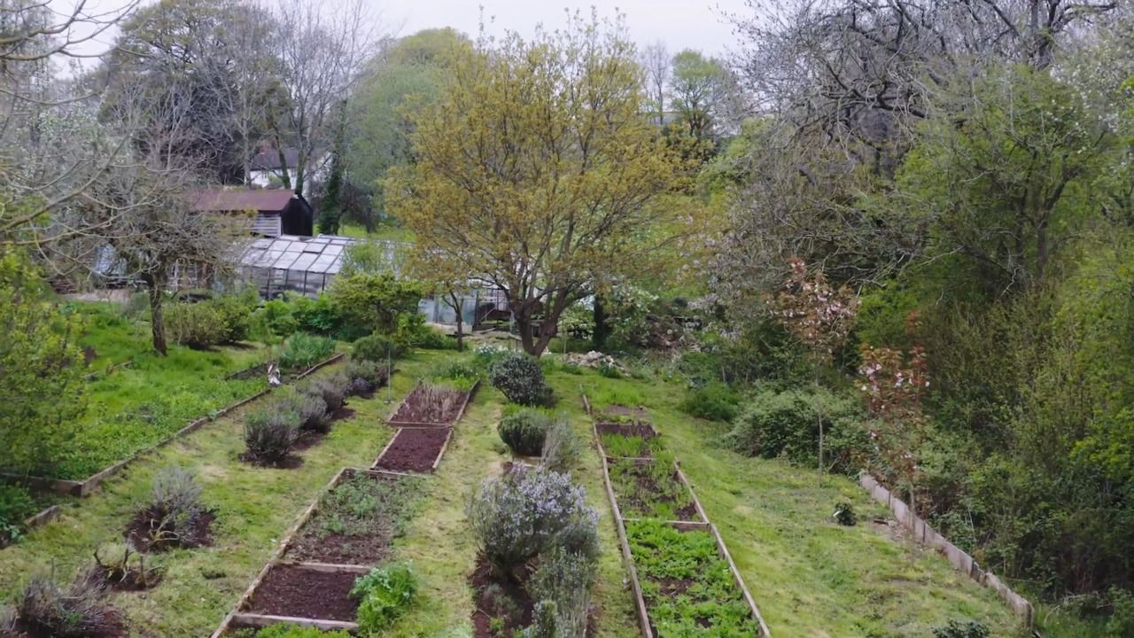 How to plan your plot - Part 3: Preparing the land