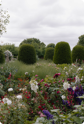 SALE promotional image