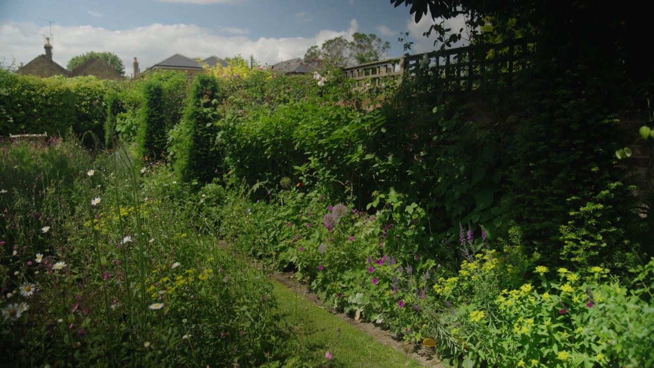 Working with boundaries & trees