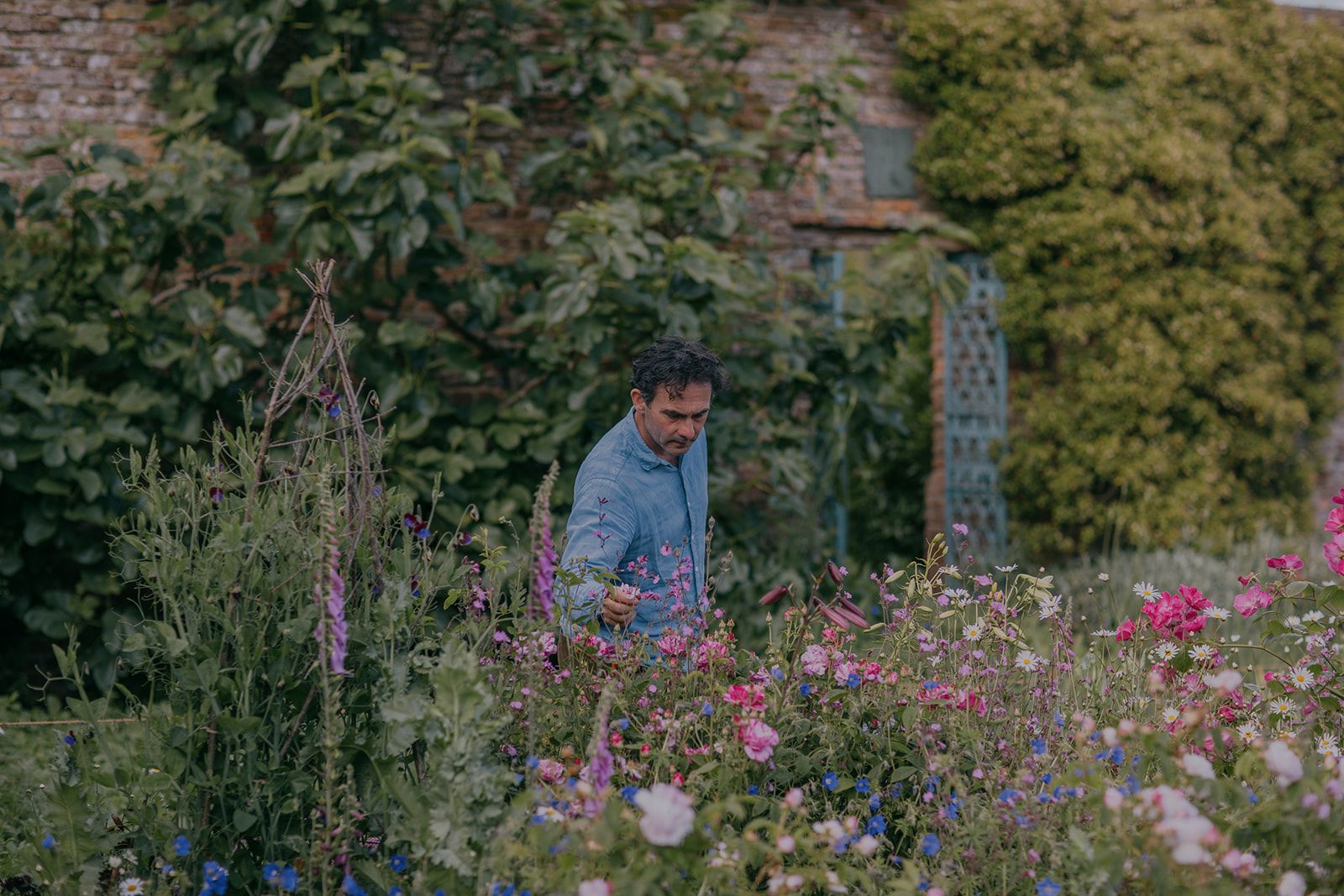 Head gardener of Sissinghurst, Troy Scott Smith, leans over a garden full of roses and other flowers. 