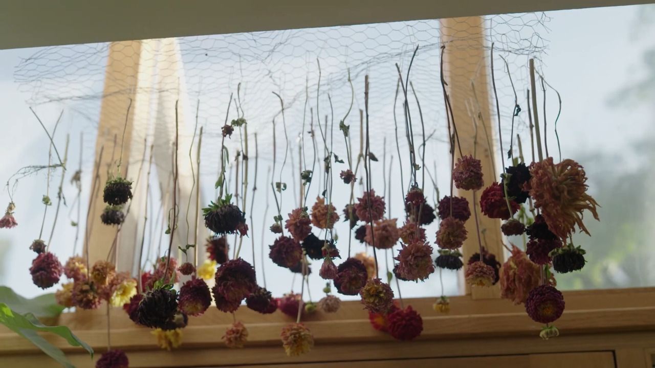 The drying process - Part 2: Techniques for trickier flowers