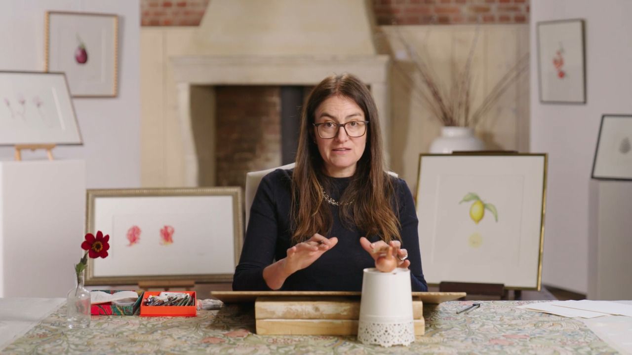 A pencil drawing of a shallot