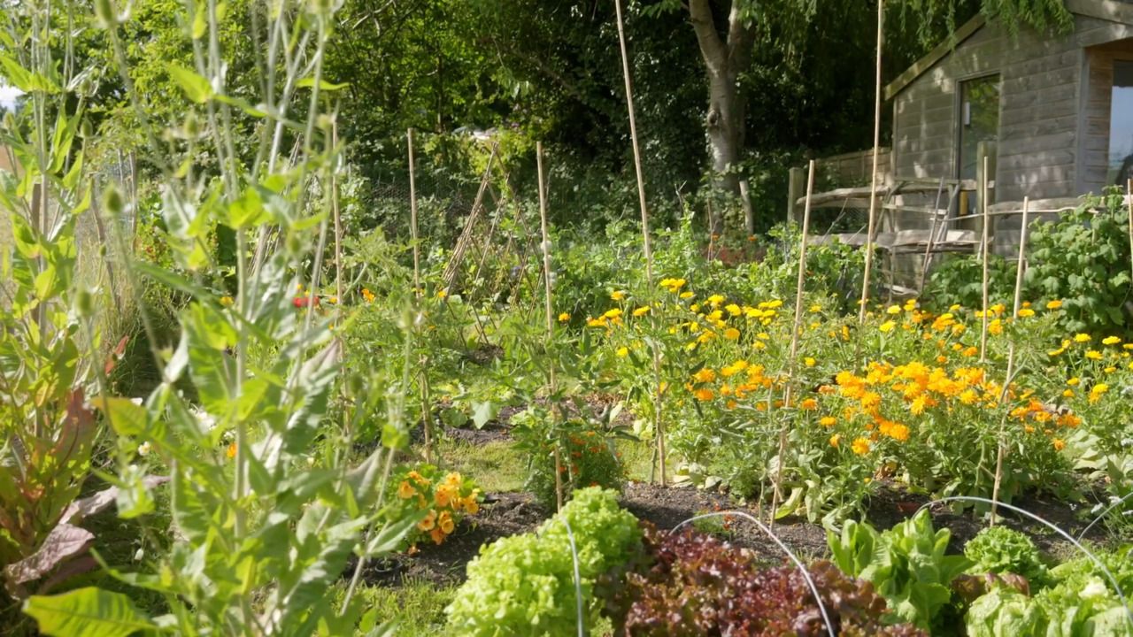 An organic approach to growing 