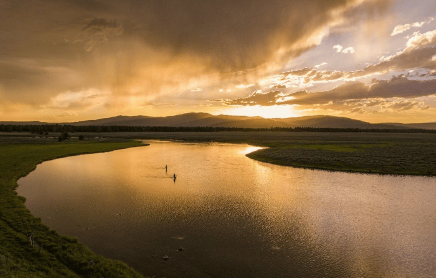 Image credit: eu.patagonia.com