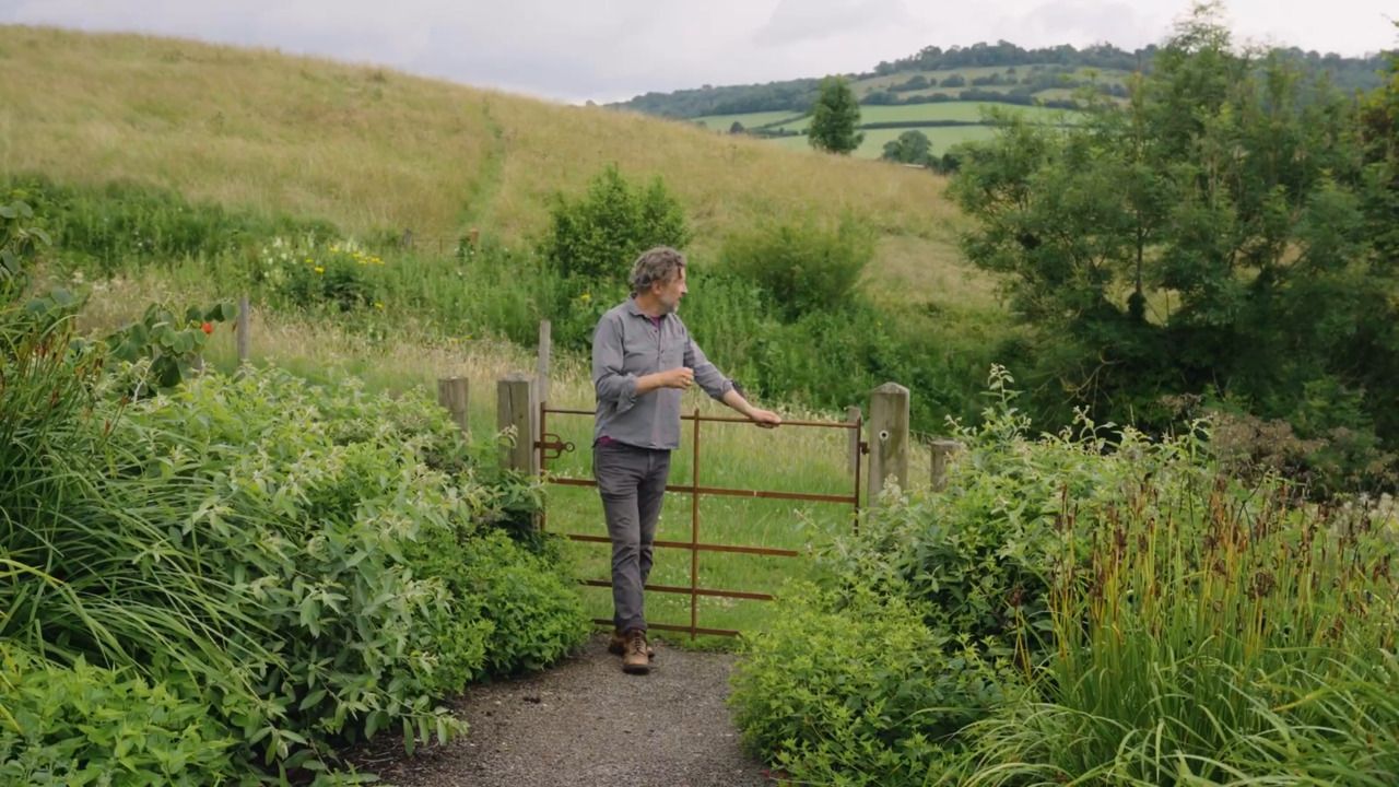 Hillside: planting design - part 3