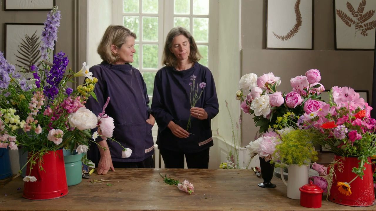 Go-to cut flowers in summer - Part 4: Favourite annual flowers