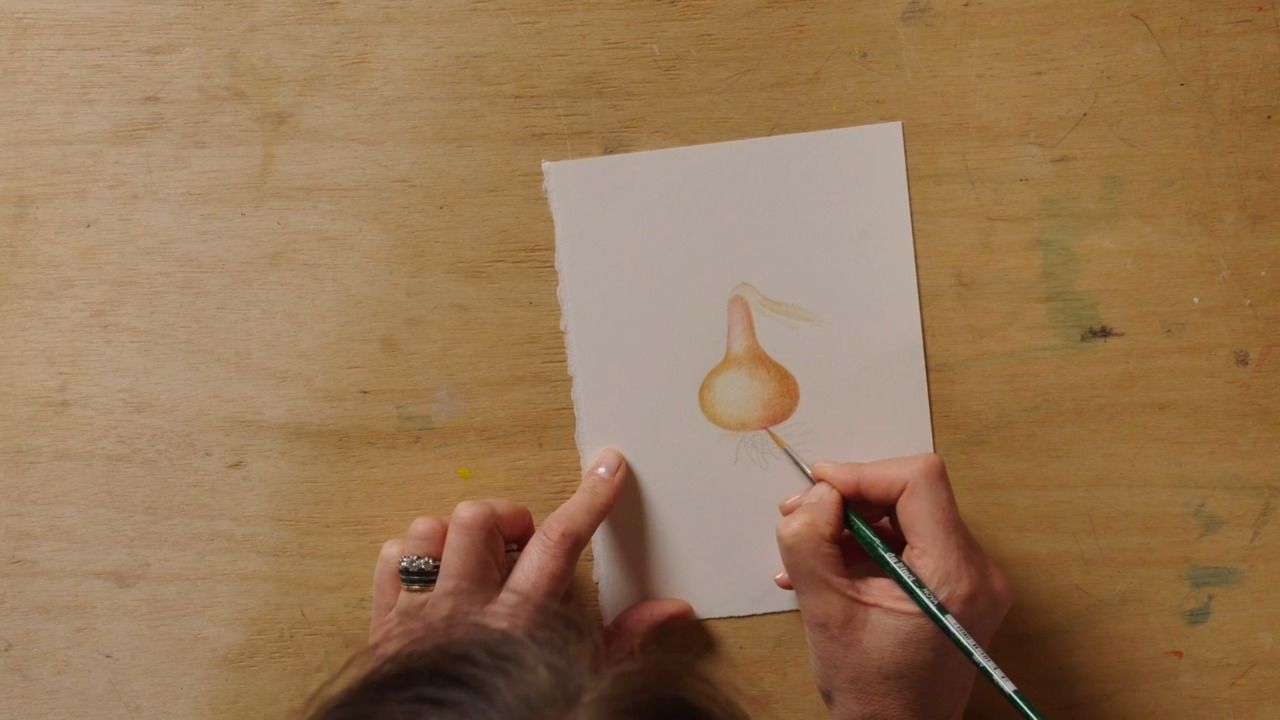 How to paint a spherical specimen in colour - Part 2