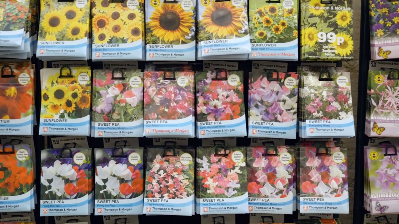 The garden centre - part 5: seeds