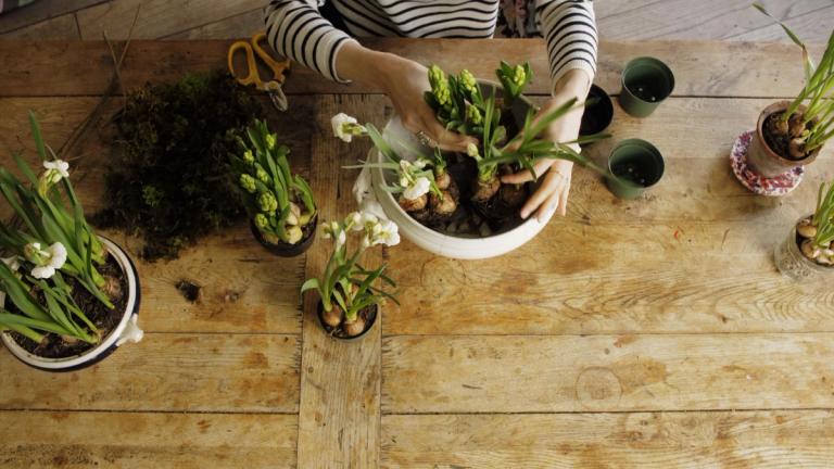 Create Academy call to action banner