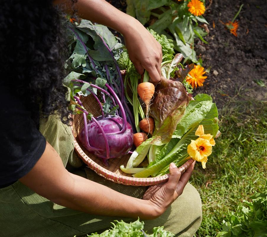 Grow your own food courses