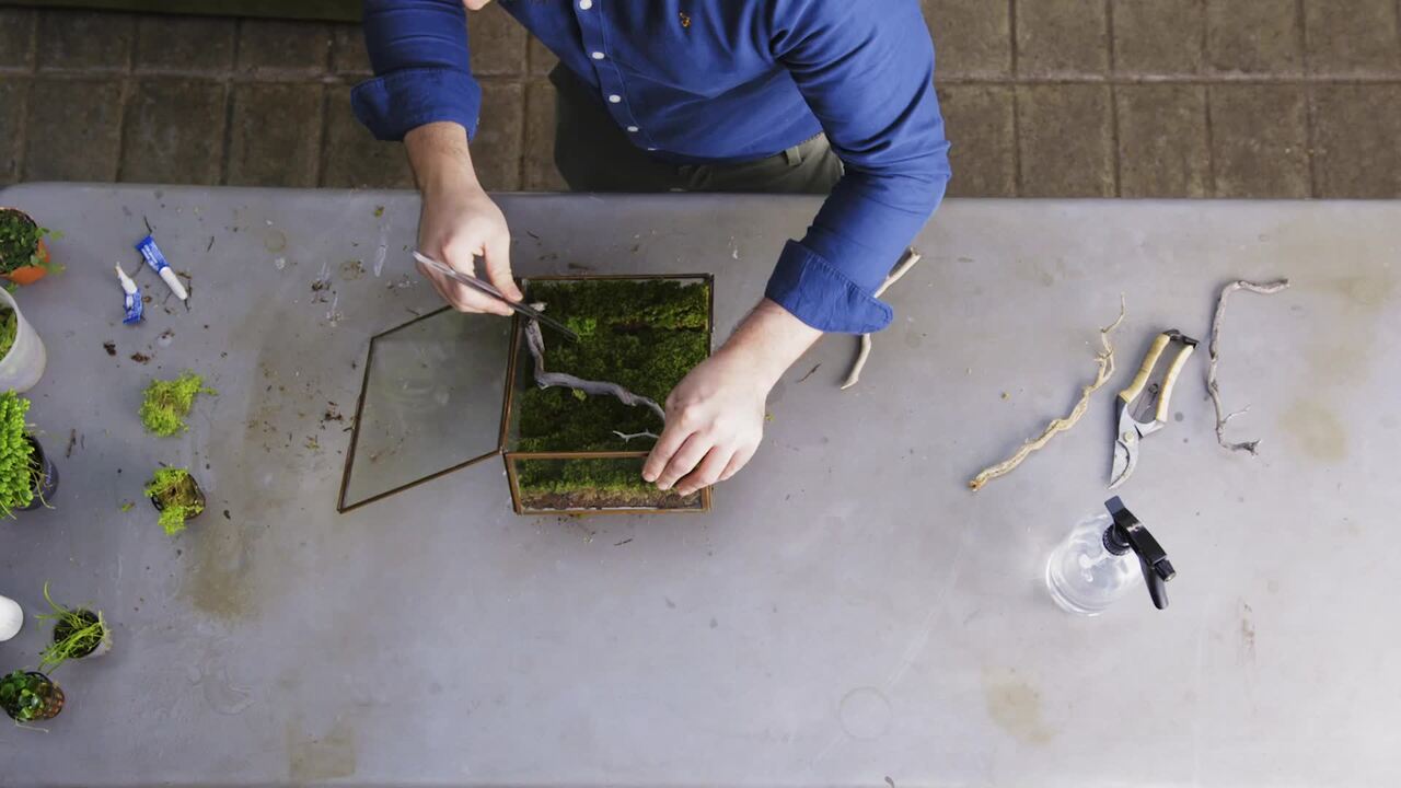 Miniature living wall