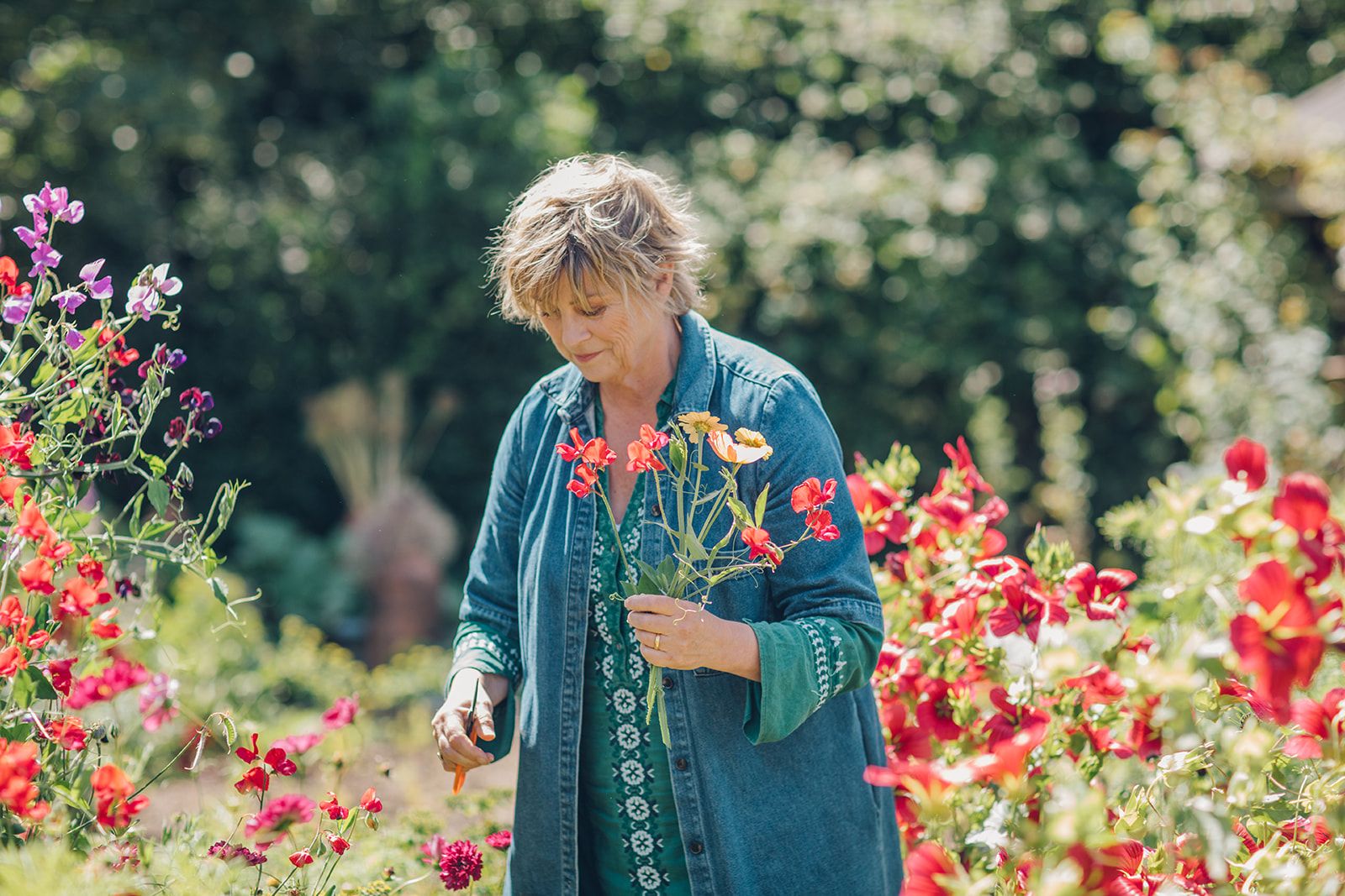 Sarah Raven stands in her flower garden, in one hand she holds freshly cut red flowers, in the other her cutting shears. She is wearing a long jean overcoat. 