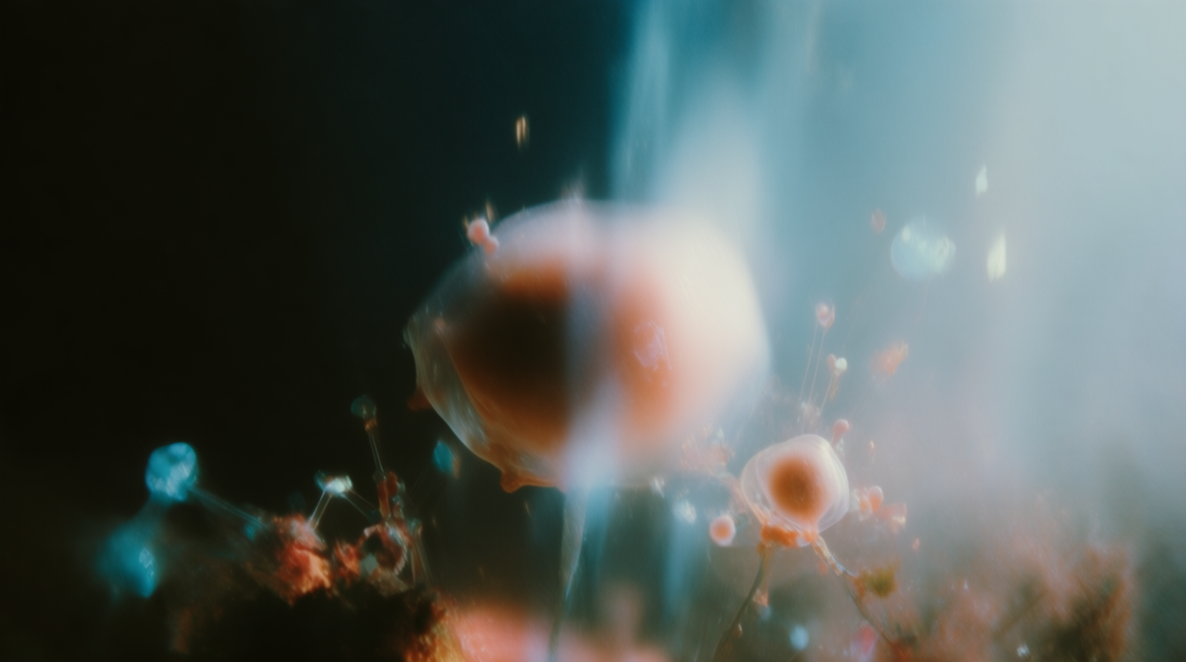 GLP-1 RAs Associated With Reduced Progression in Some Cancers