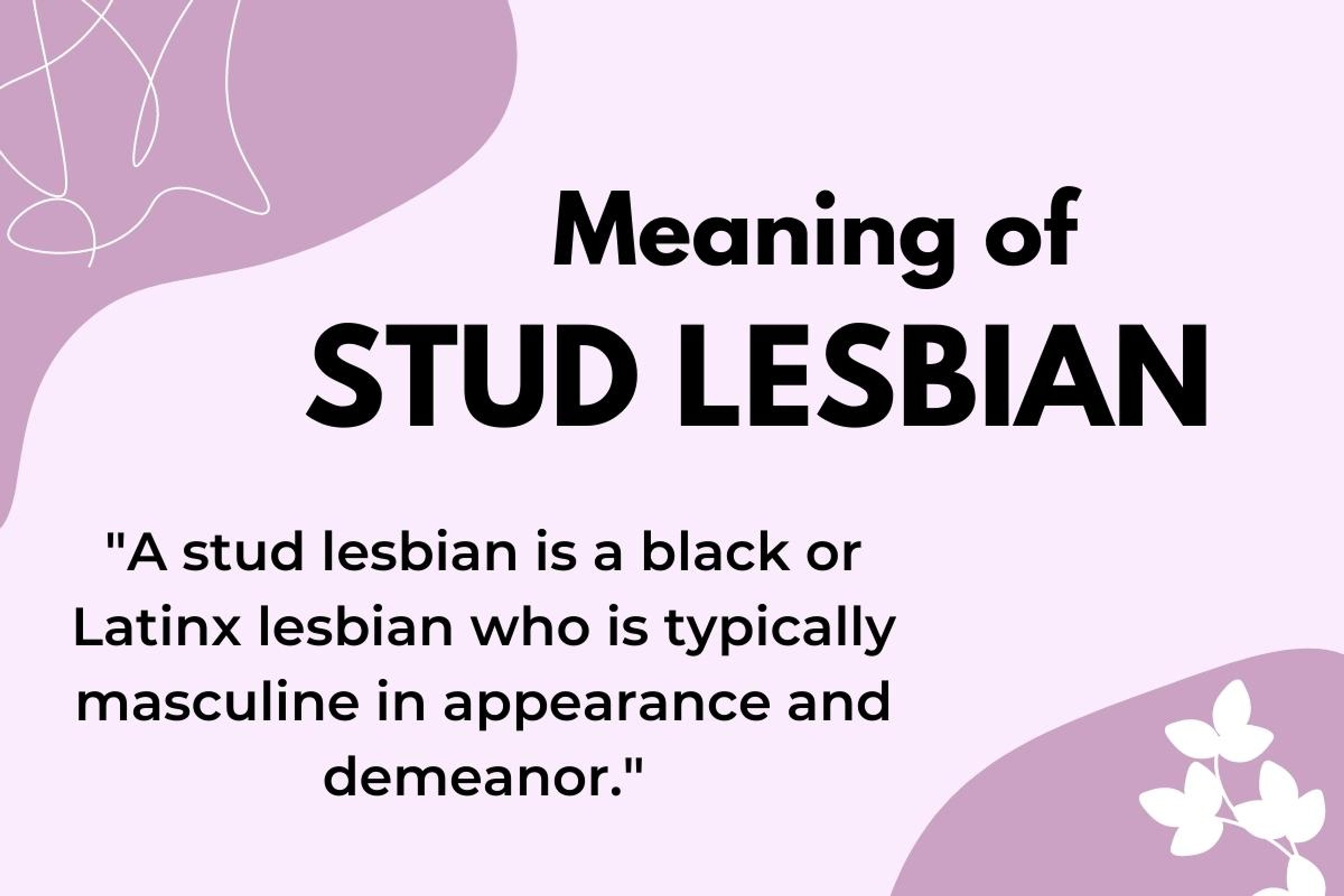Stud lesbian meaning