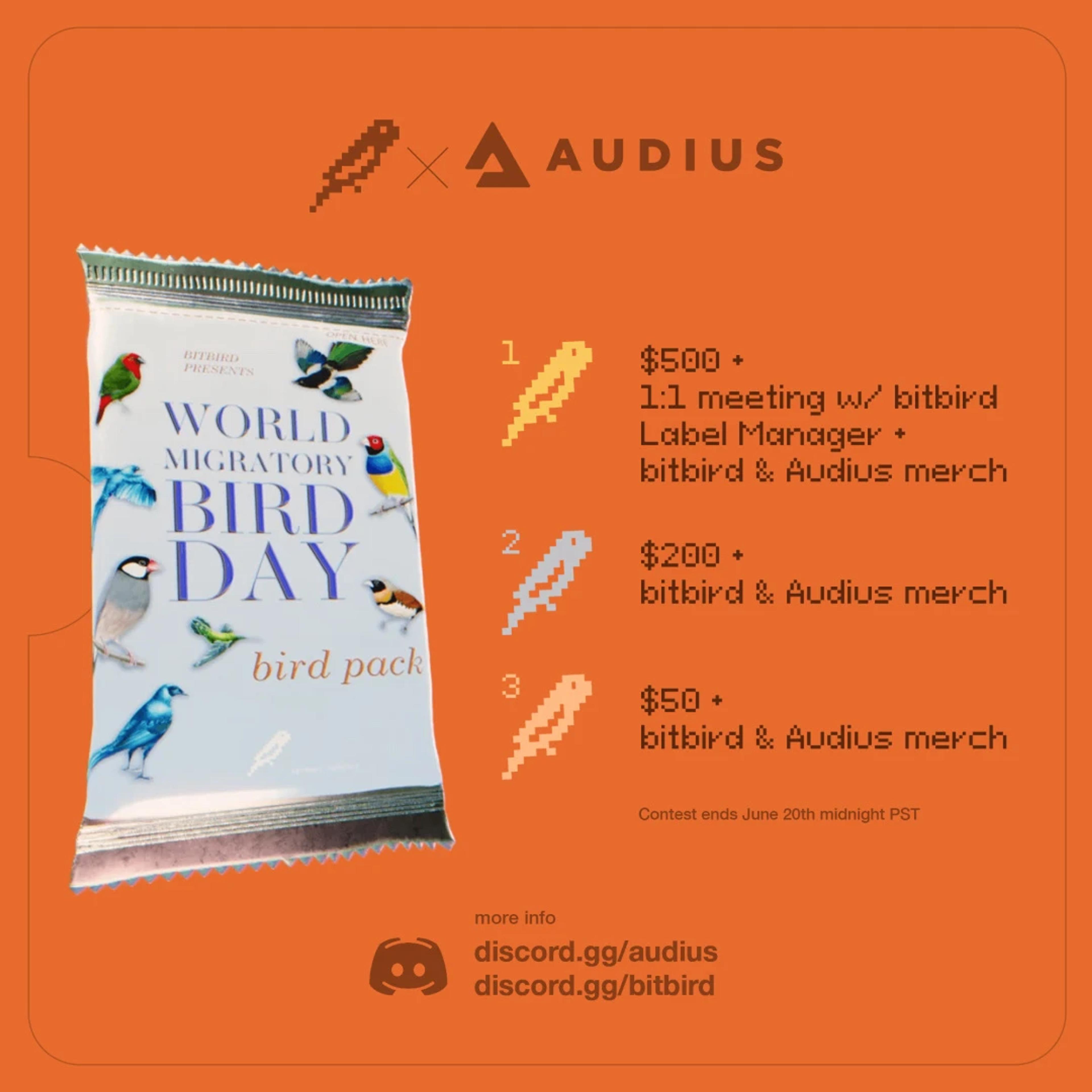 bitbird Sample Pack Contest track artwork