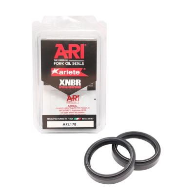 Semerinzi vila ARI.102 -  41x53x8/10.5 Ariete par