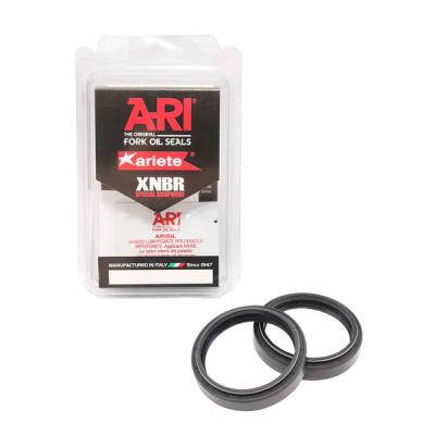 Semerinzi vila ARI.047 - 41x54x11 DCY Ariete par