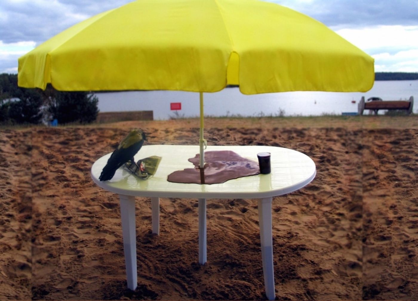 ZAMNEM_______table, pumping chocolate, stuffed crow, newspaper / ART KLJAZMA FESTIVAL Russia/ 2004