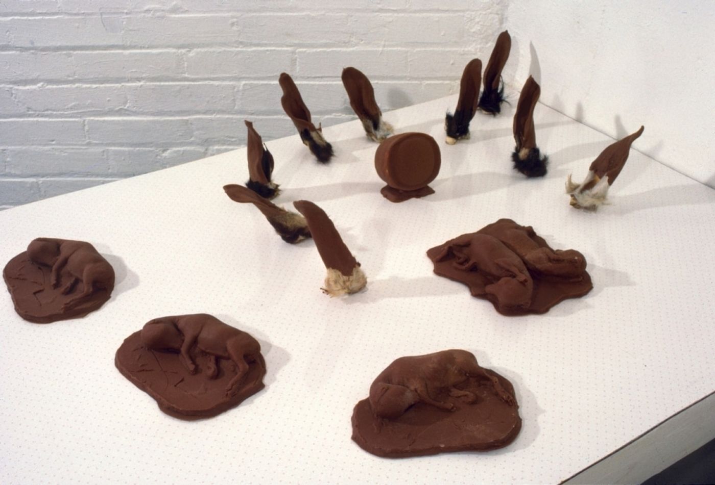 CHOCOLATE SOLILOQUY_______chocolate fetal goat casts, dried goat ears, alarm clock dipped in chocolate/ 1989