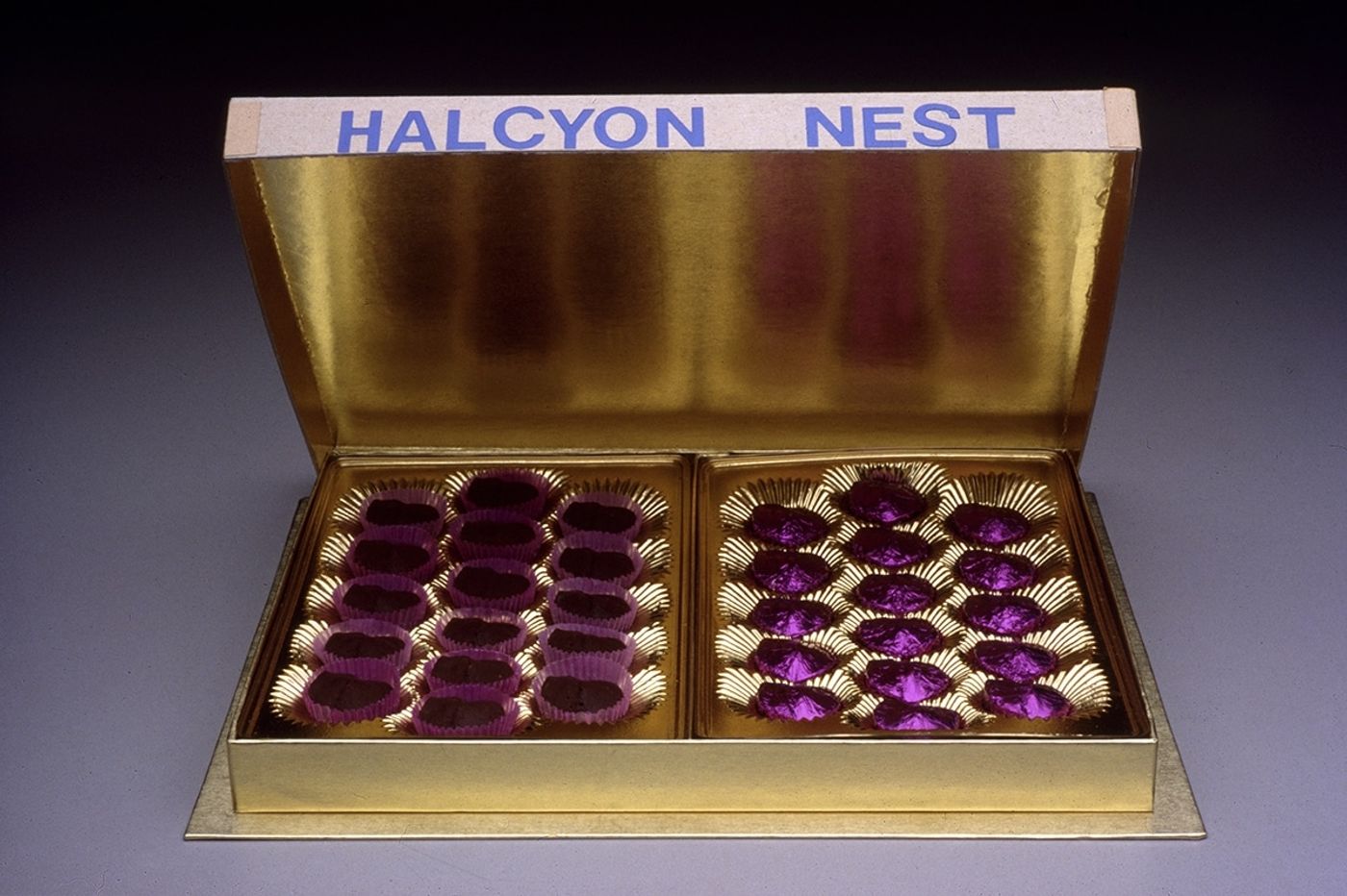 HALCYON NEST. MORGUE CHOCOLATES_______eyes cast in dark chocolate / 1994