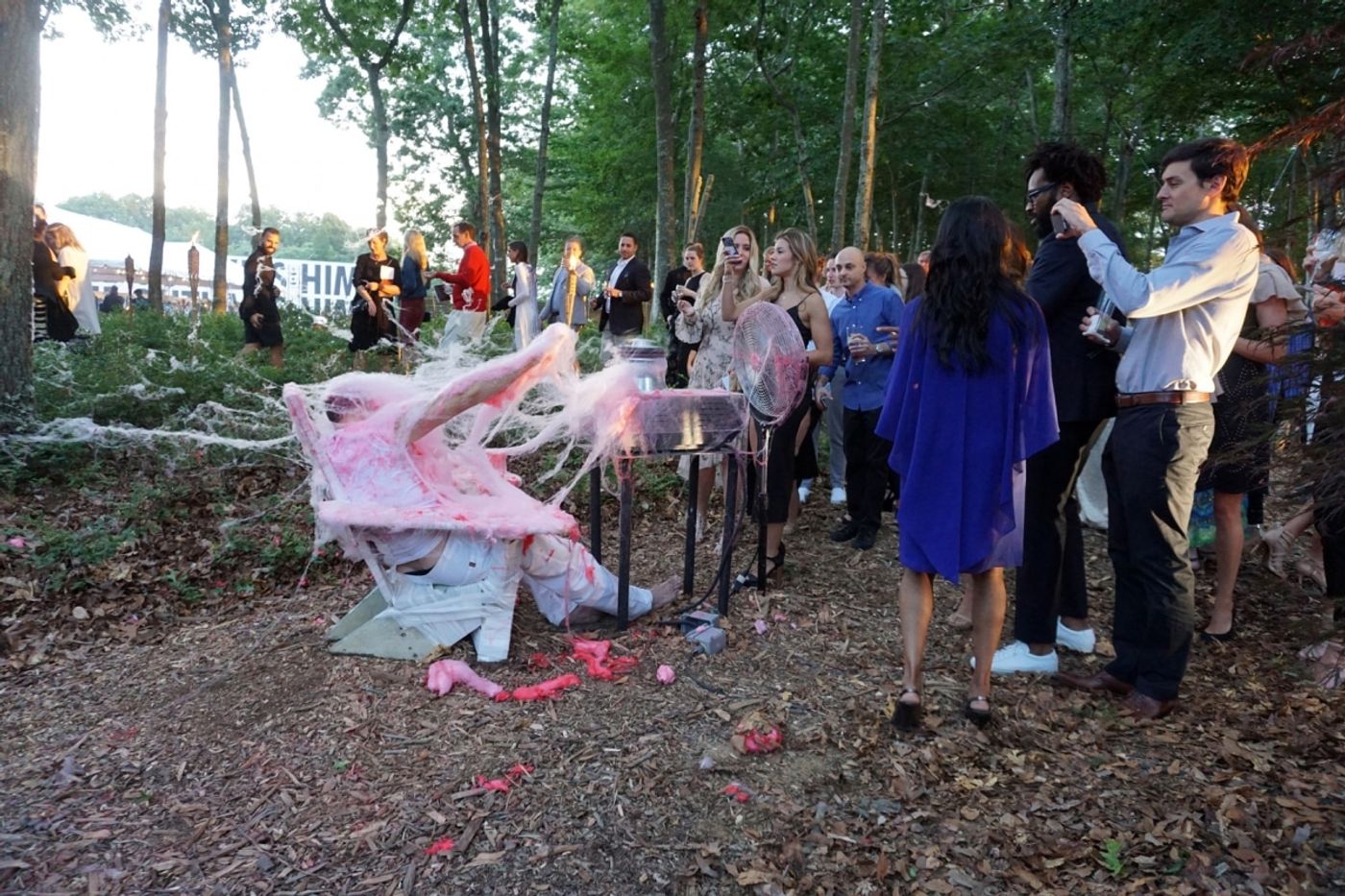 BEATEN to a PULP on a BED of MOSS | performance | 2017