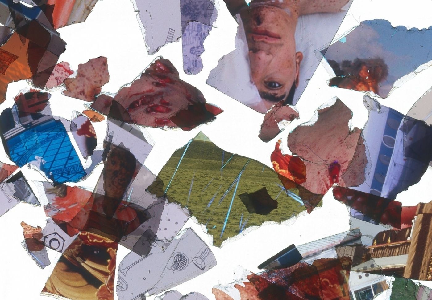 WHEN ANGER SINGS SHRAPNEL FLIES_______video stills / one-chanel video projection, 5 min video loop / slides shredded in coffee grinder &amp; filmed floating in oil
