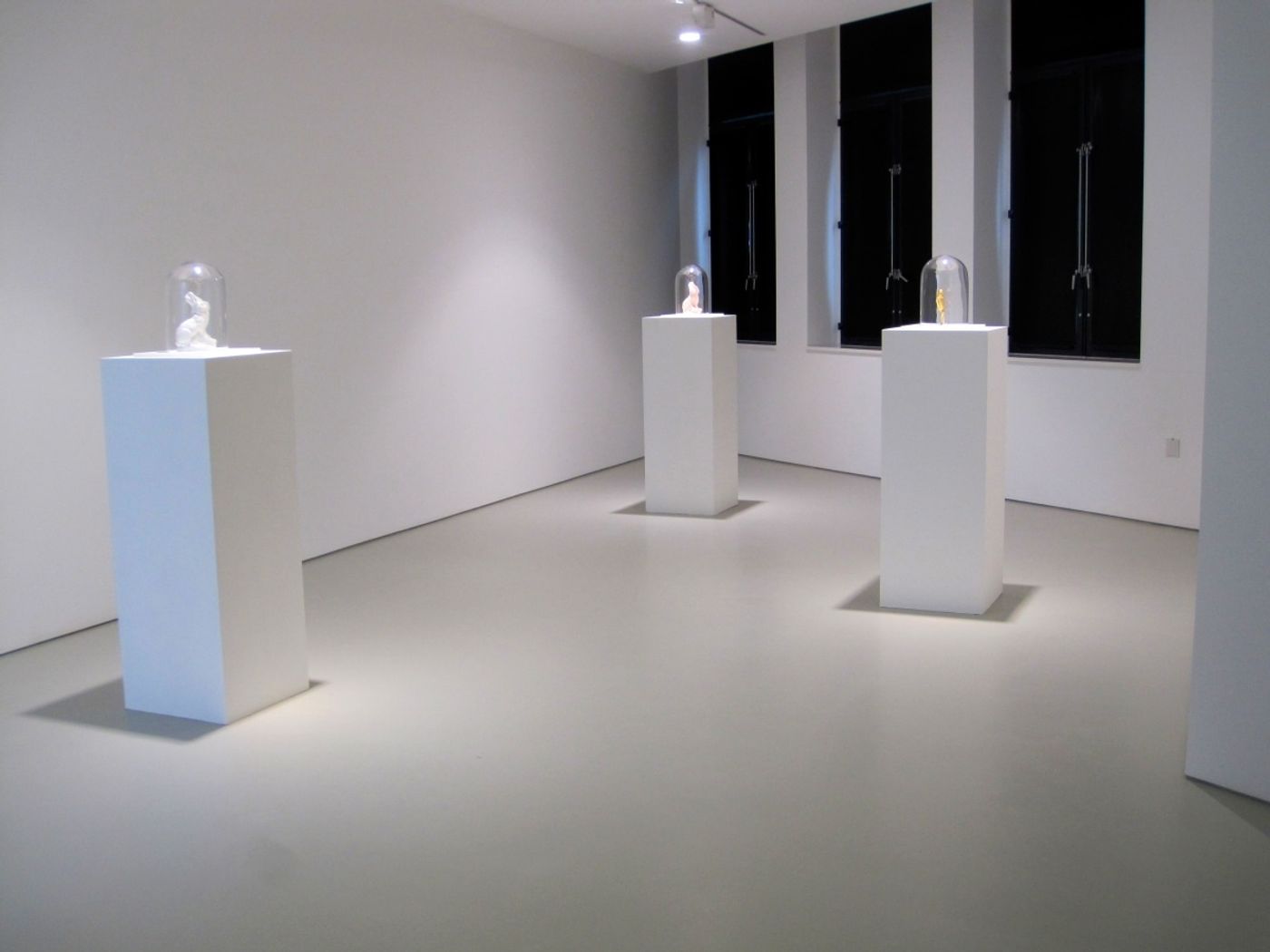 installaition view
