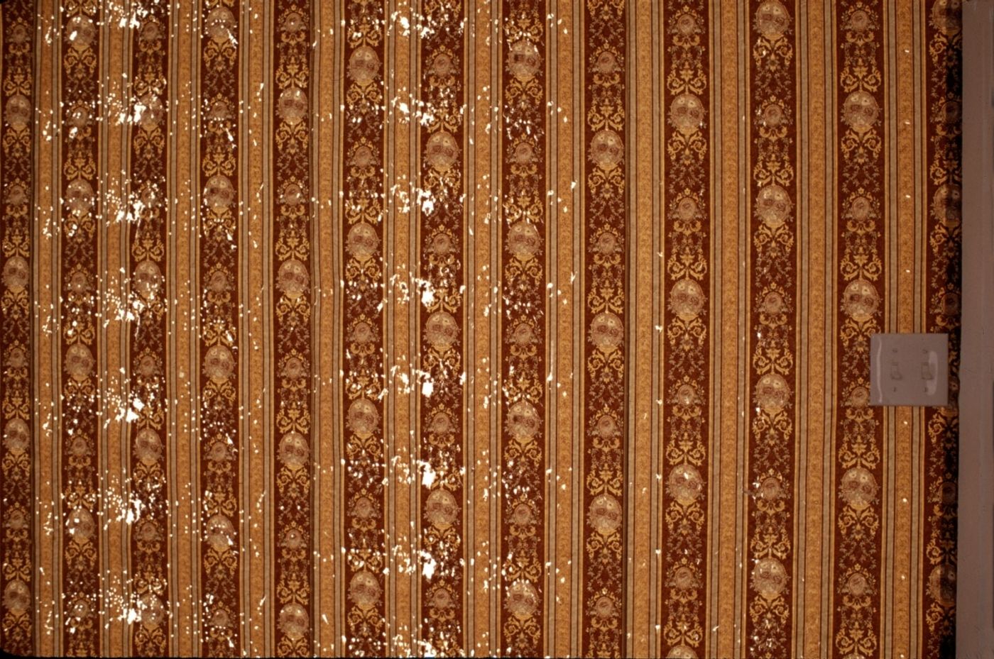 TOPOGRAPHICAL STUDY OF A GUNSHOT BLAST TO THE MOUTH_______wallpaper perforated with shotgun while still rolled up / 350X 250cm / 2001