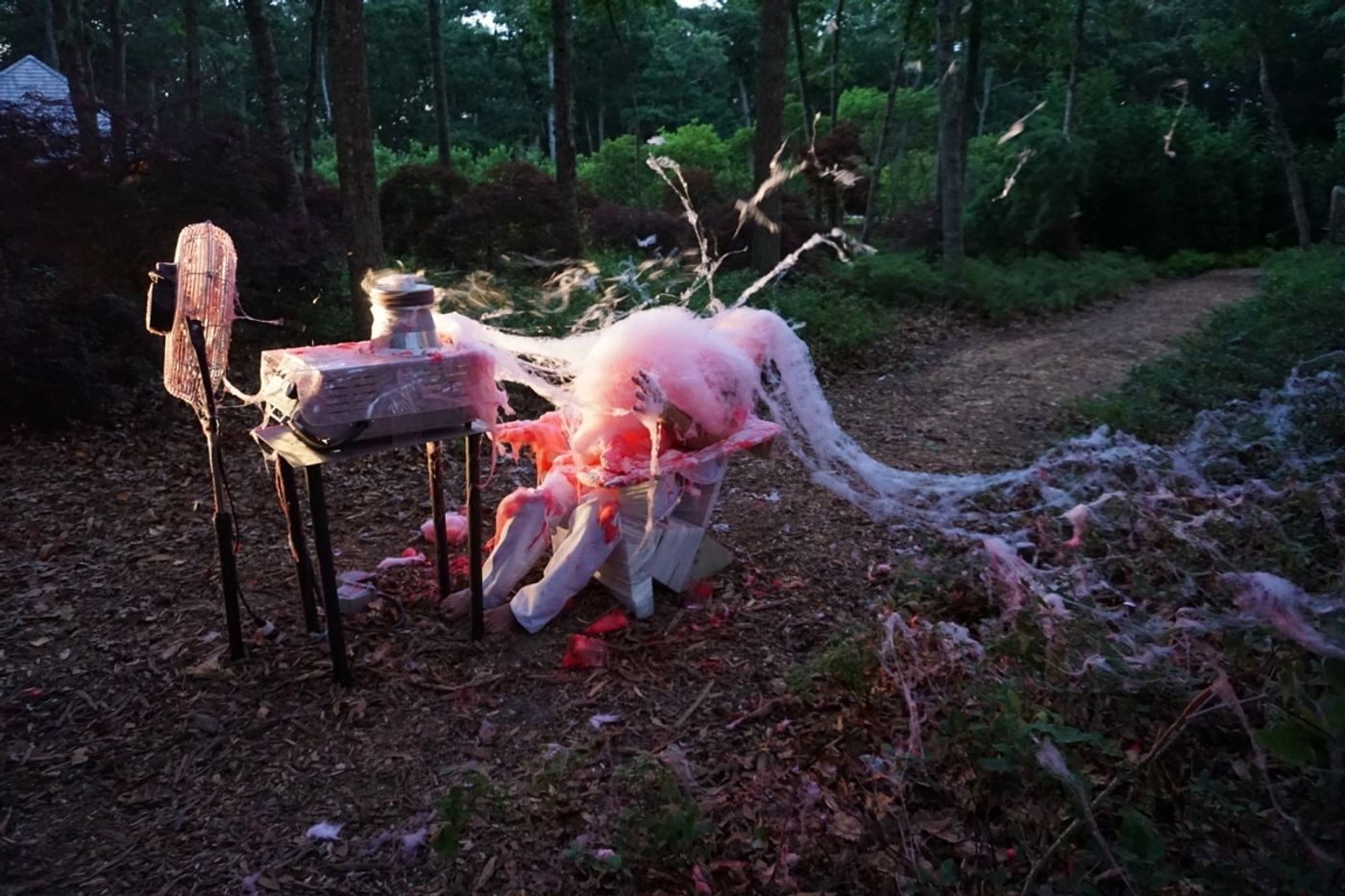 BEATEN to a PULP on a BED of MOSS | performance | 2017