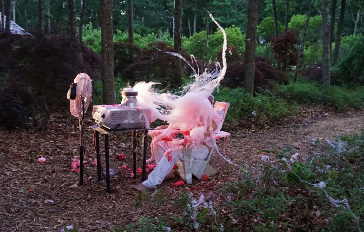 BEATEN to a PULP on a BED of MOSS | performance | 2017