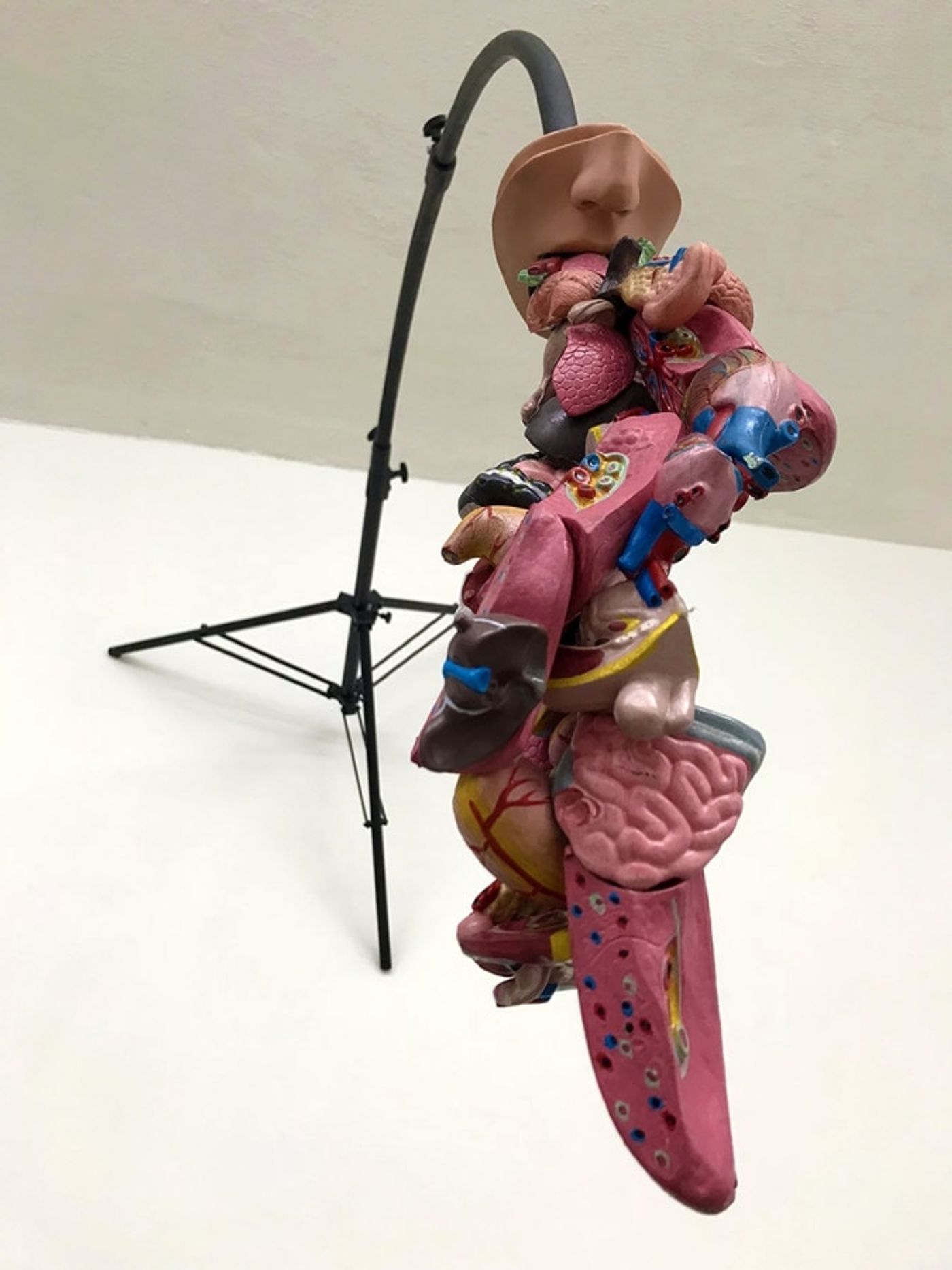 SELFIE WITH THE VOMIT / tripod, mixed media / 2018