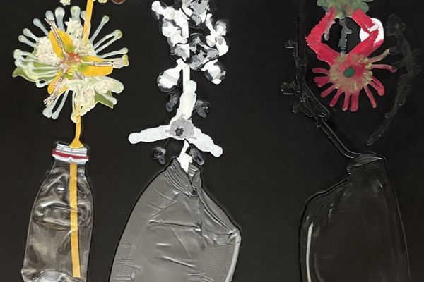 Fossil Flowers