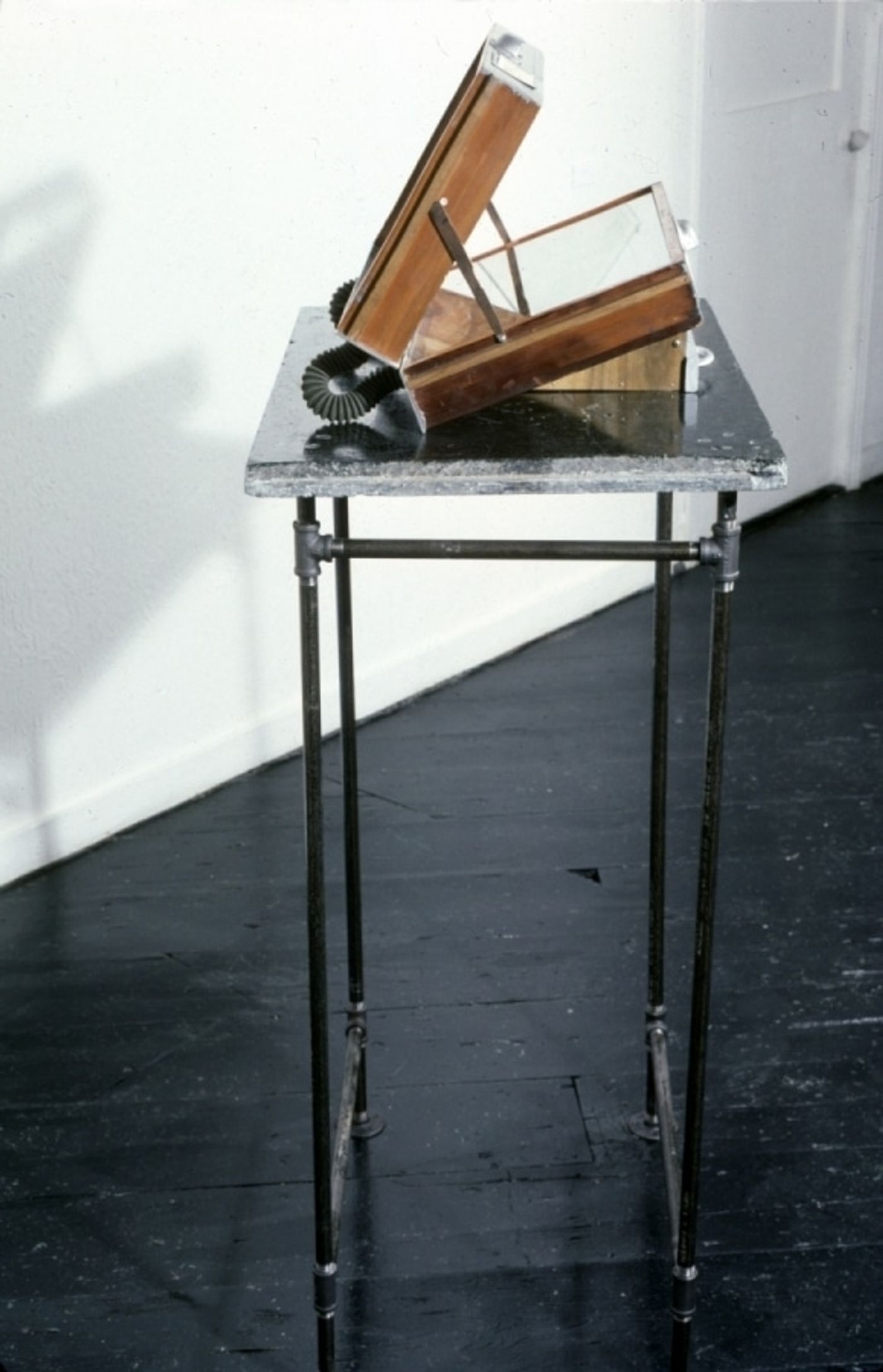 BUTTERFLY COLLECTION_______pig eyelids, mothballs / 56x42 cm / 1989