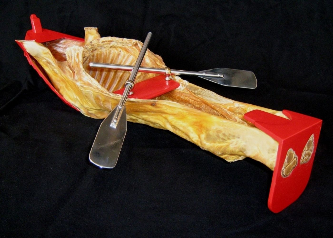 HEART OF DARKNESS_______dried goat, aluminum, wood / 70 x 25 x 20cm / 2000