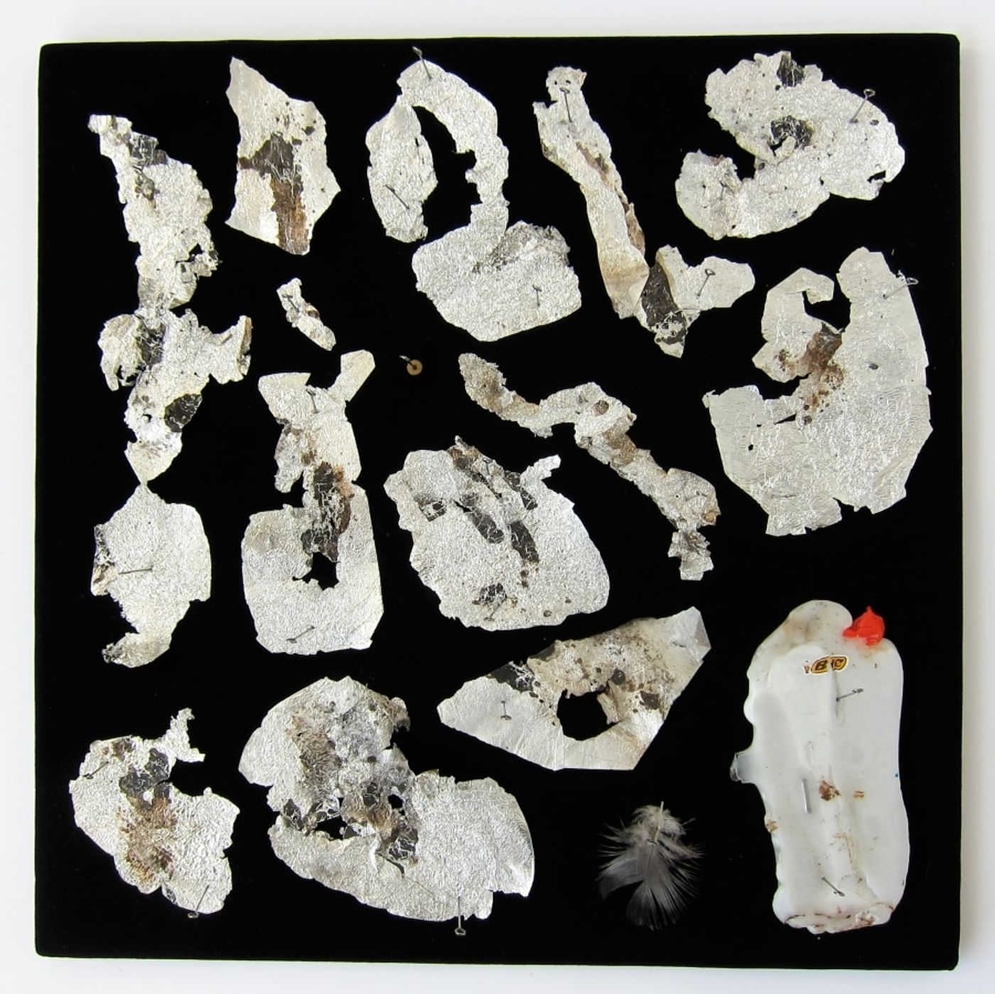 MOTH COLLECTION_______debris from heroin and crack use / various sizes / 2011